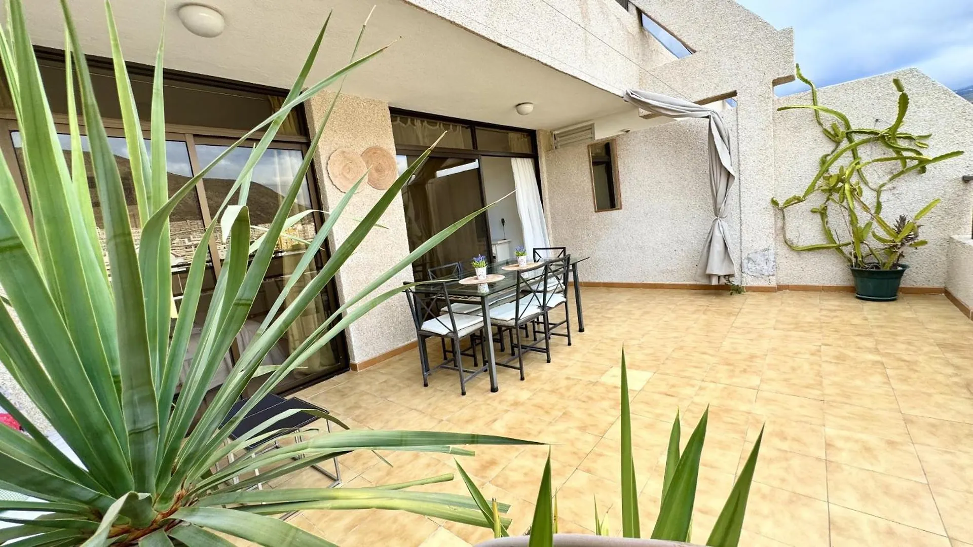 Urban Oasis In Los Cristianos By Deihu Experiences Španělsko